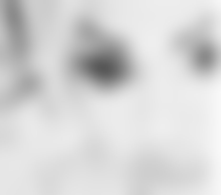 Trans Escorts Lancashire Blackpool -